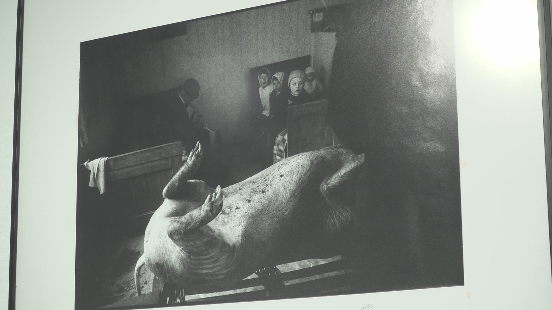 Čista umetnost – december 2025