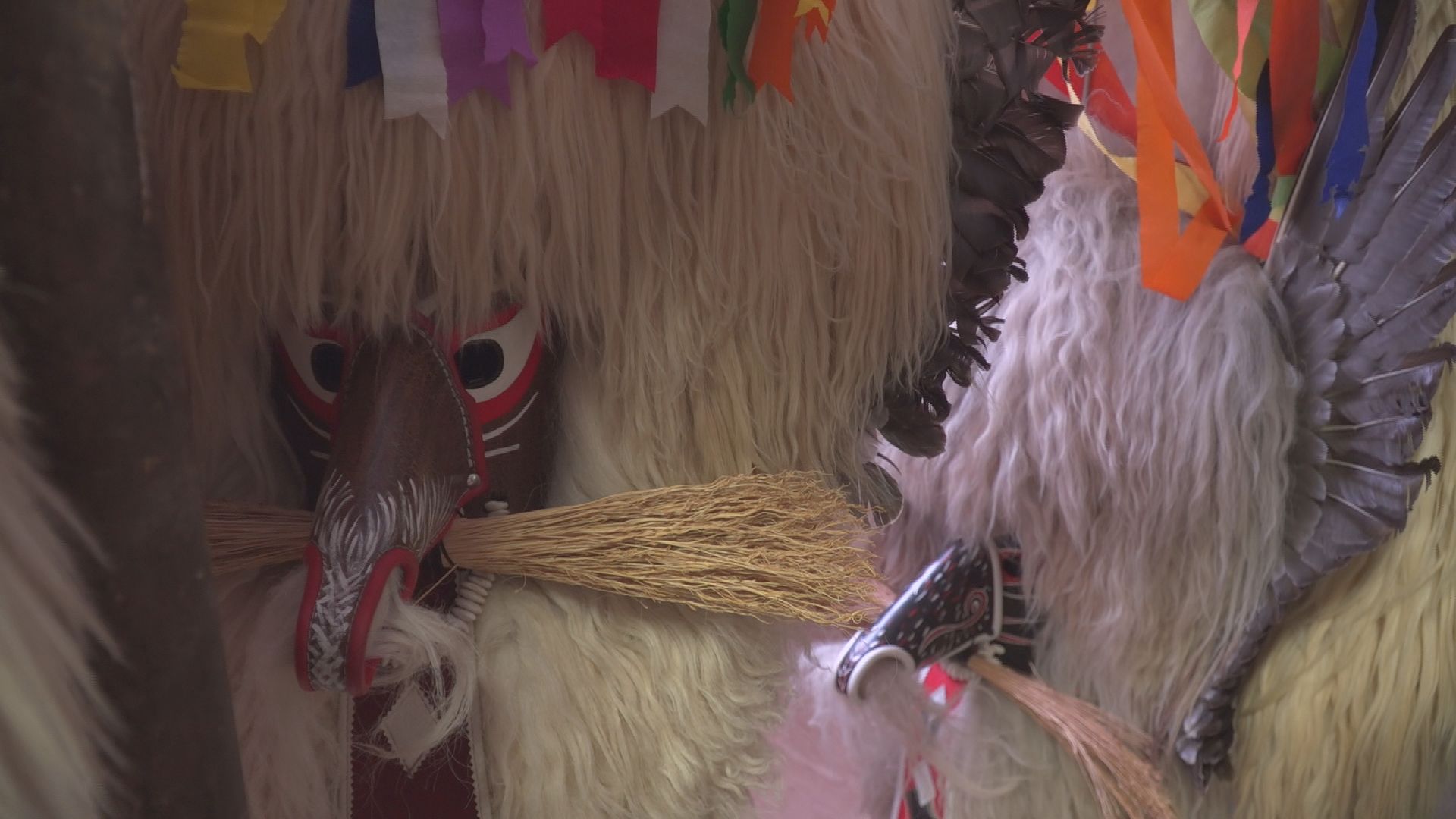 Ptujska kronika, sreda 21. januar 2026