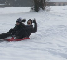 Ptujska kronika, sreda 14. januar 2026