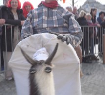 Ptujska kronika, sreda 11. februar 2026