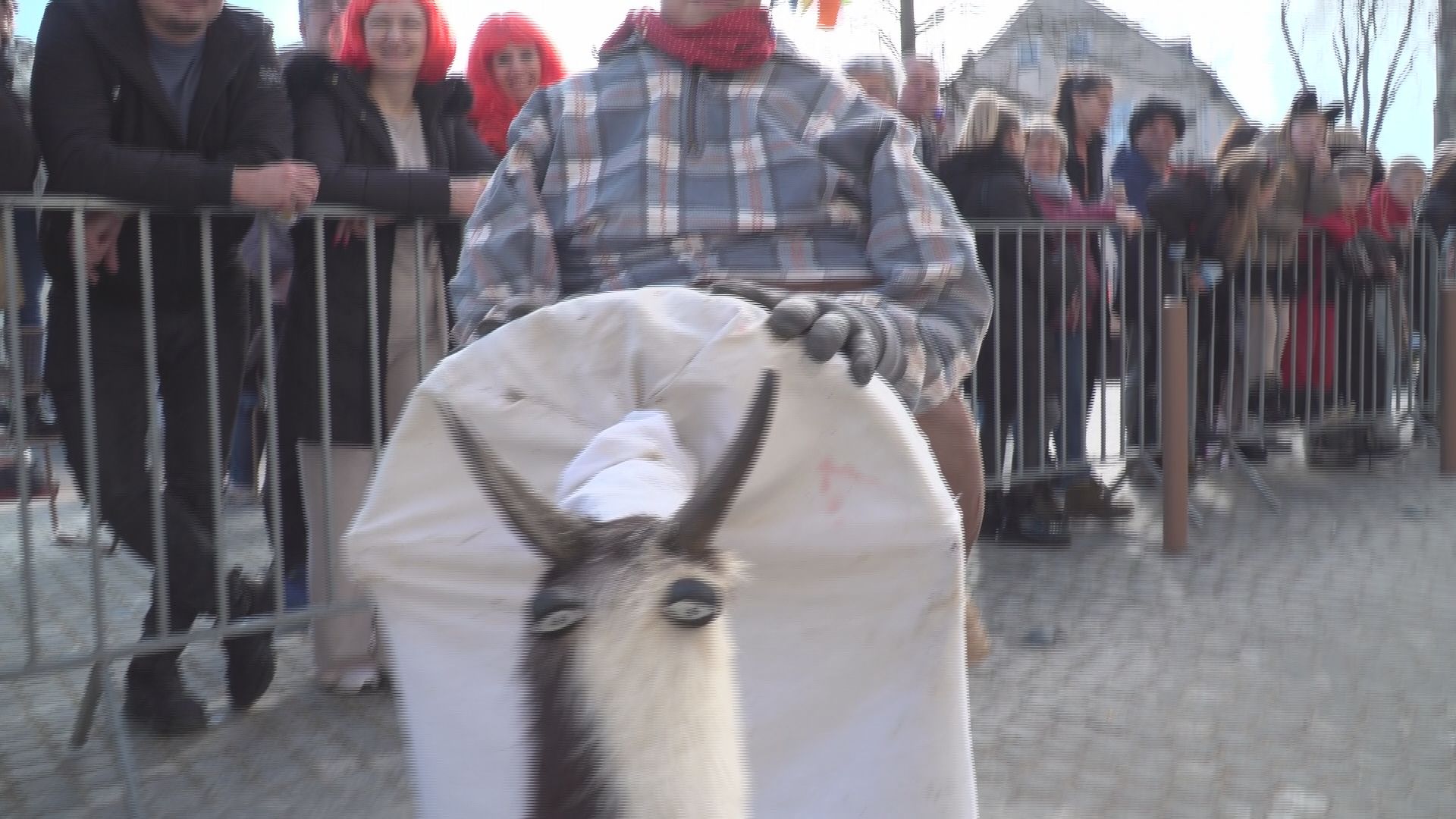 Ptujska kronika, sreda 11. februar 2026