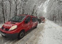 Ptujska kronika, sreda 25. februar 2026