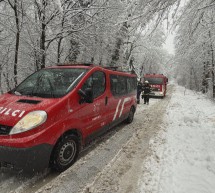 Ptujska kronika, sreda 25. februar 2026
