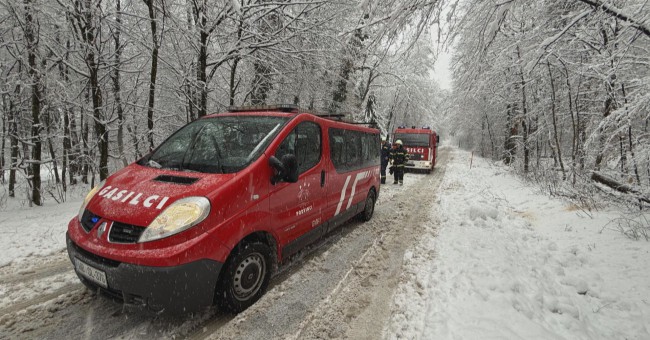 Ptujska kronika, sreda 25. februar 2026