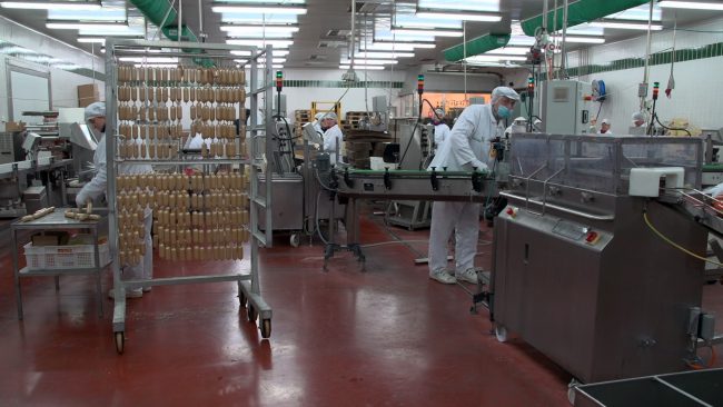 Prva ocena poslovanja Skupine Perutnina Ptuj za leto 2025