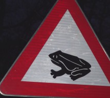 Ptujska kronika, sreda 1. april 2026