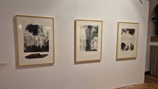 Odprtje razstave Admirja Ganića in Eve Šuster Orglež v Miheličevi galeriji na Ptuju