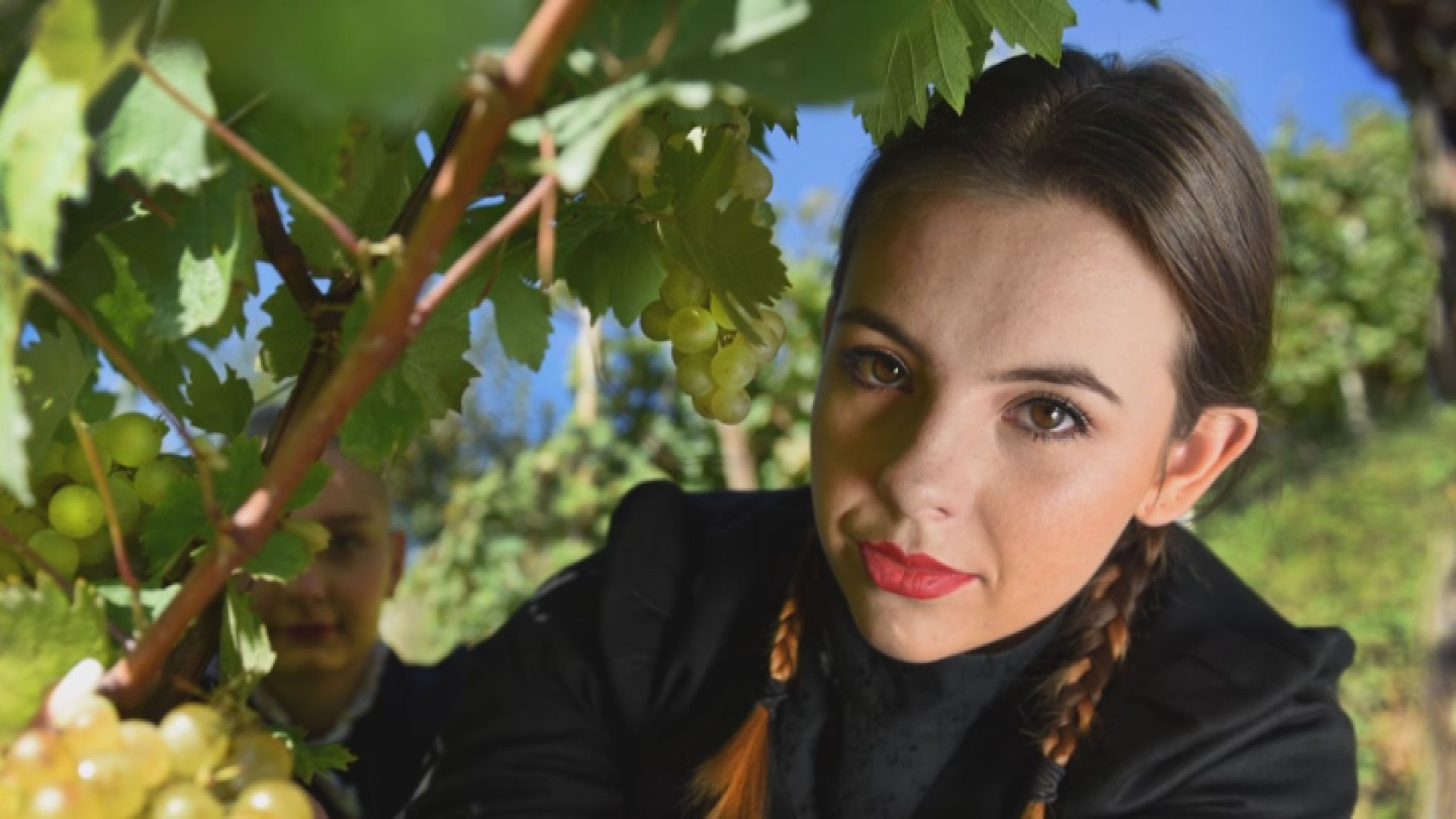 Pogled nazaj 527. oddaja