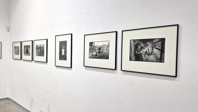 Razstava Ko svet razpada, ostanejo vsaj te spodobne fotografije