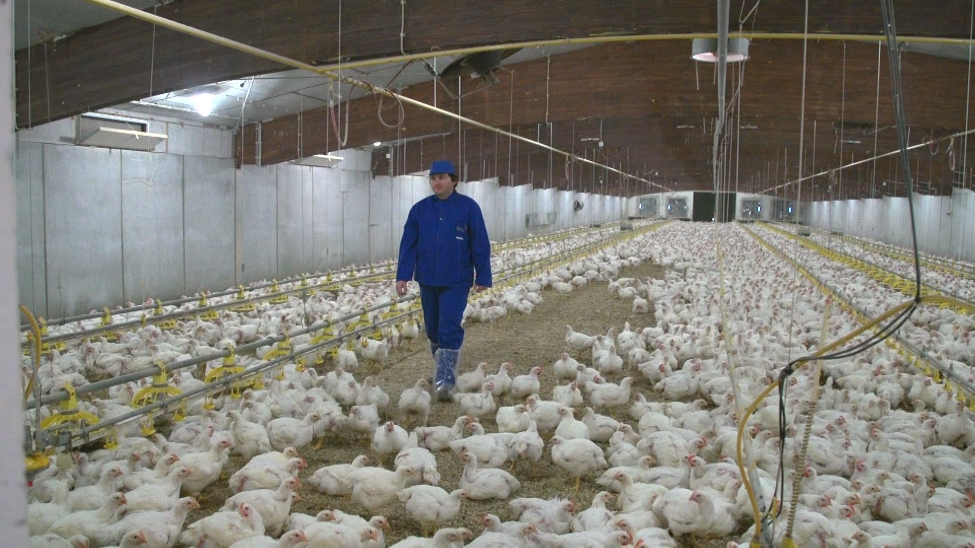 Pregled tedna, sobota 11. april 2026