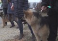 Pogled nazaj 536. oddaja