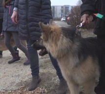 Pogled nazaj 536. oddaja