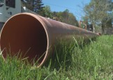 Ptujska kronika, petek 3. julij 2026