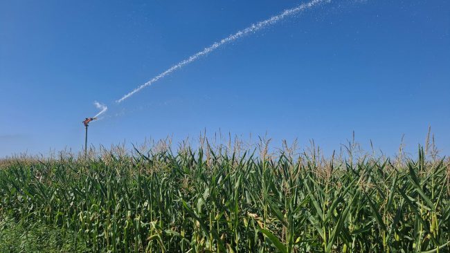 Predstavitev novo postavljenega namakalnega sistema Agripop