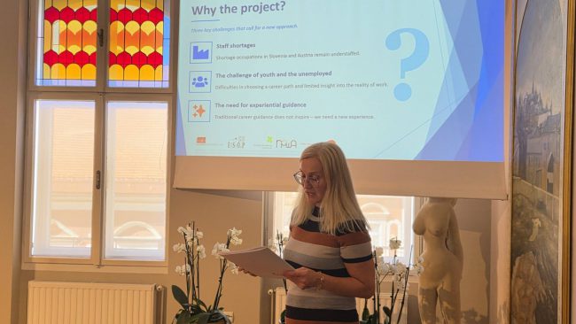 Projekt CDO-VR