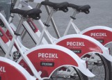 Ptujska kronika, petek 2. oktober 2026
