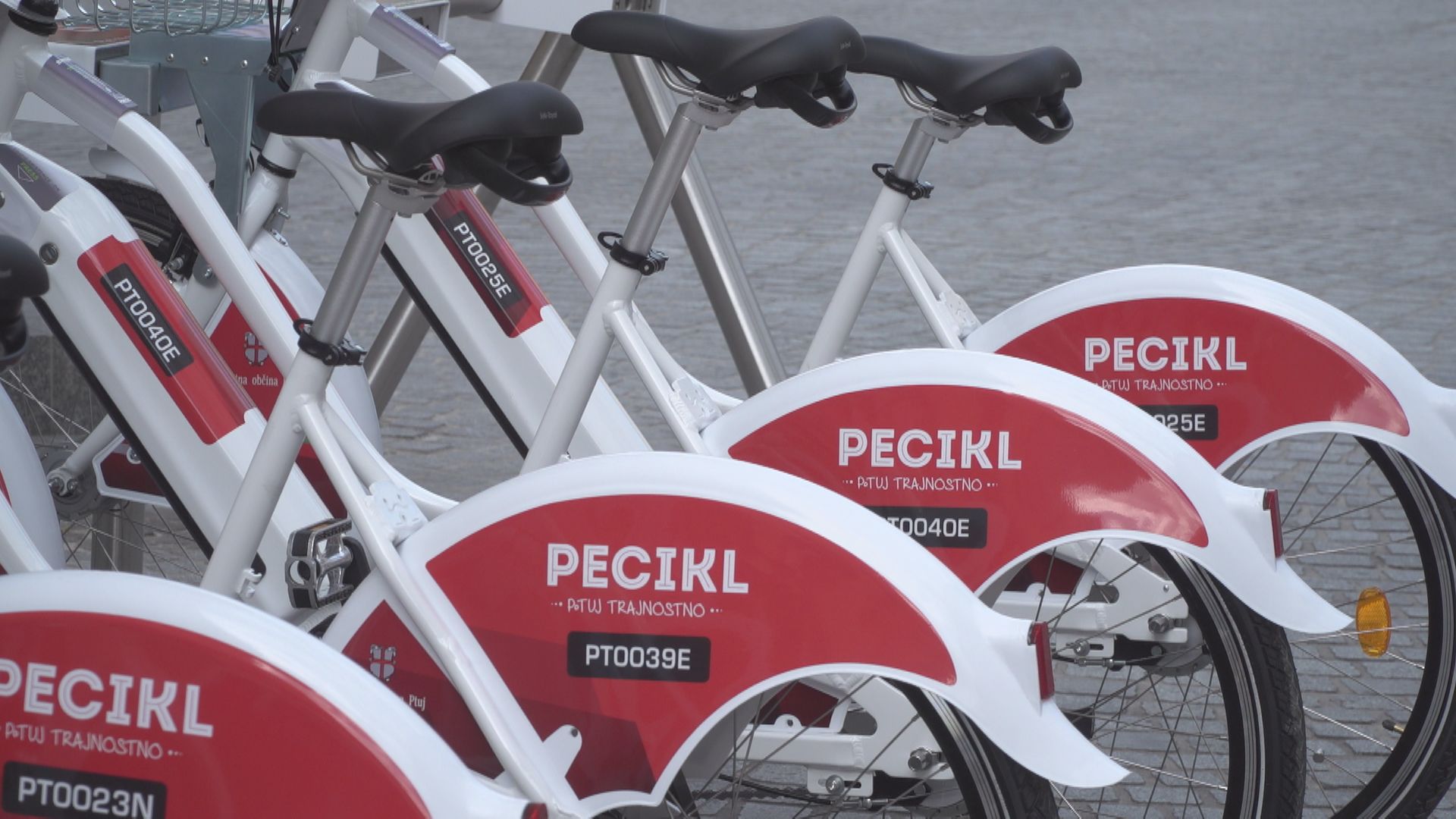 Ptujska kronika, petek 2. oktober 2026