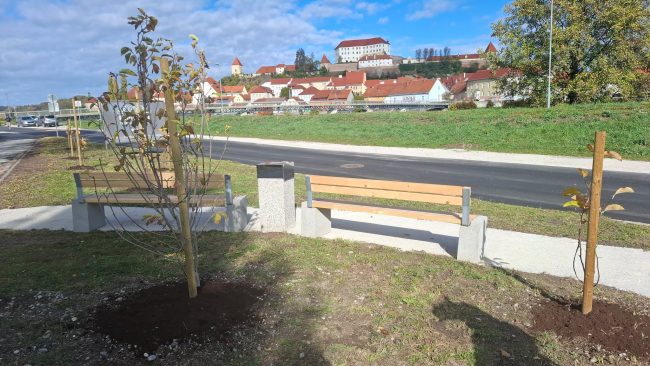 Obnovljen cestni odsek Ob Dravi in urejen je novi park »Park magnolij«